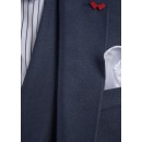 D-ZINE-S-2335-SLIM FIT-BLUE
