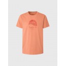 Pepe Jeans Ανδρική Μπλούζα Richmond T-shirt PM508698-145 Πορτοκαλί