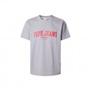 Pepe Jeans T-Shirt Derril PM509766-913 Grey